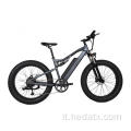 E Bikes Bike Pneumatico grasso 1000 Watt Electric Bicycle